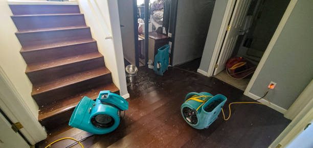 Best Water damage restoration insurance claims  in Bradfordville, FL