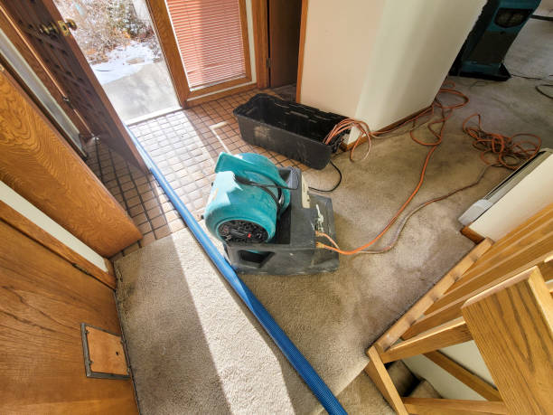  Bradfordville, FL Water damage restoration Pros