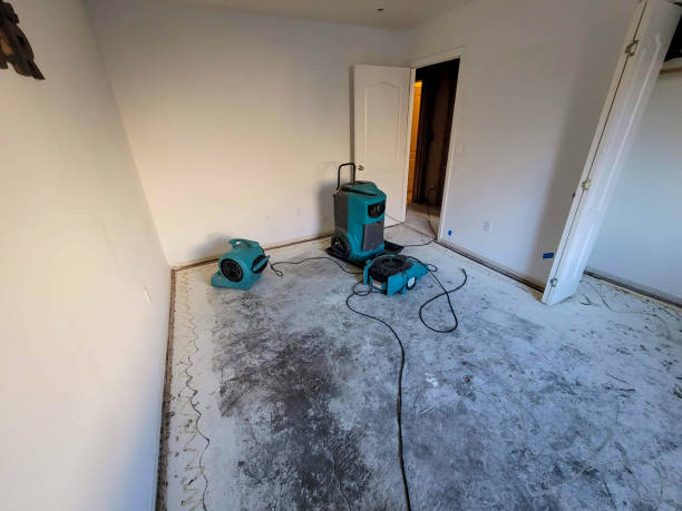 Best Basement water damage restoration  in Bradfordville, FL