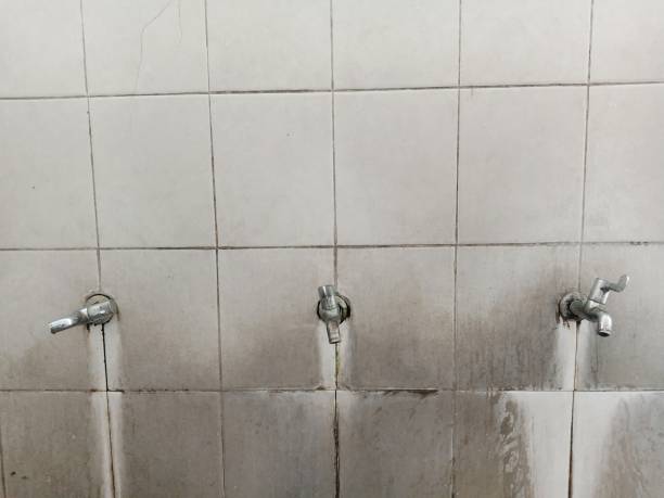 Best Sewage cleanup and water damage restoration  in Bradfordville, FL