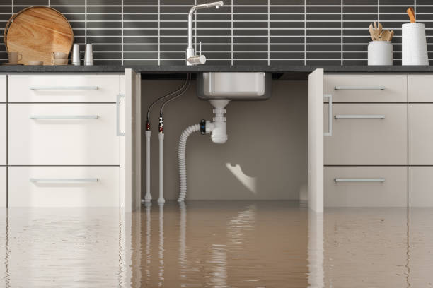 Best Commercial water damage restoration  in Bradfordville, FL
