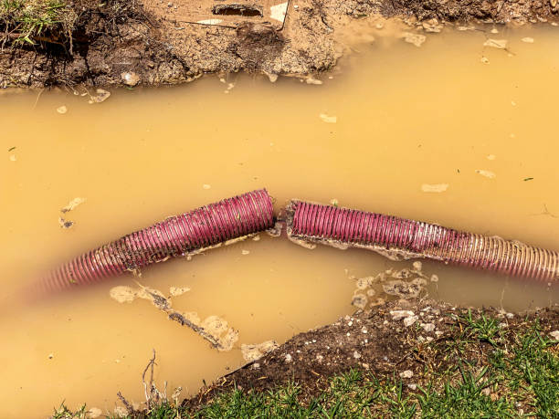 Best Water damage cleanup near me  in Bradfordville, FL