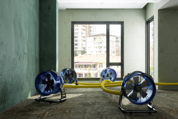 Water damage restoration process in FL