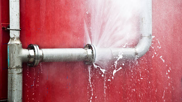 Best Flood restoration services  in Bradfordville, FL